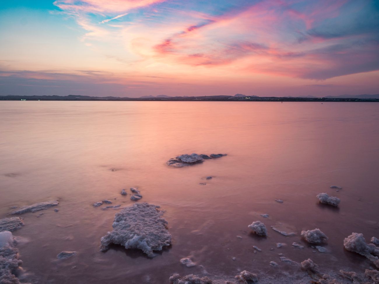 salinas torrevieja